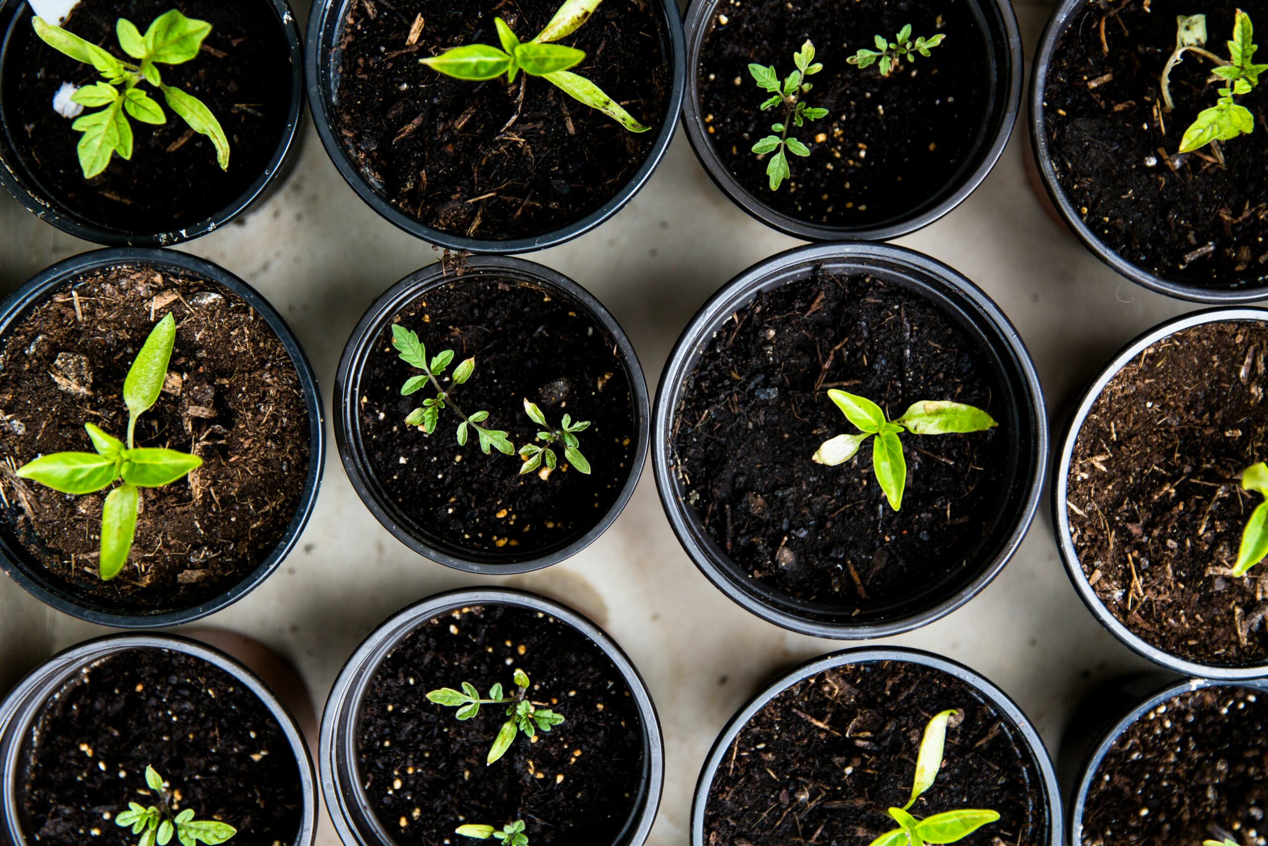 Significance of Double Materiality in ESG and Sustainability