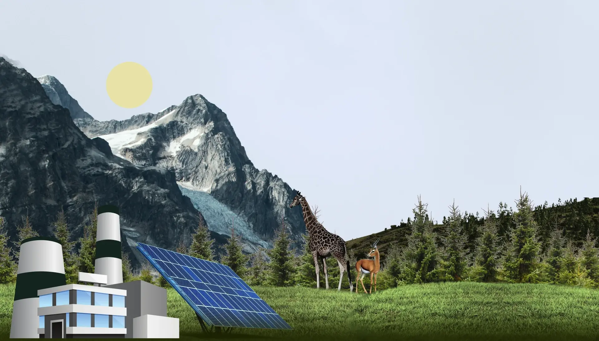 after Sustainability